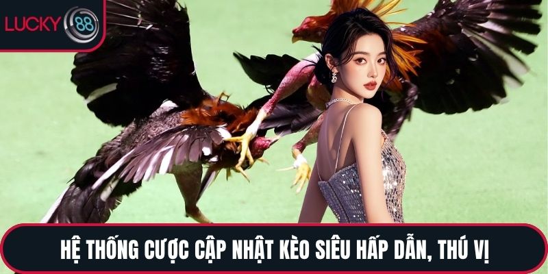 Hệ thống cược cập nhật kèo siêu hấp dẫn, thú vị